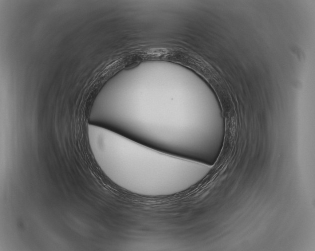 X0000114611394200910200930