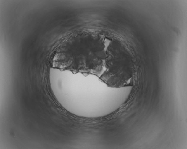 X0000114611397200910200930