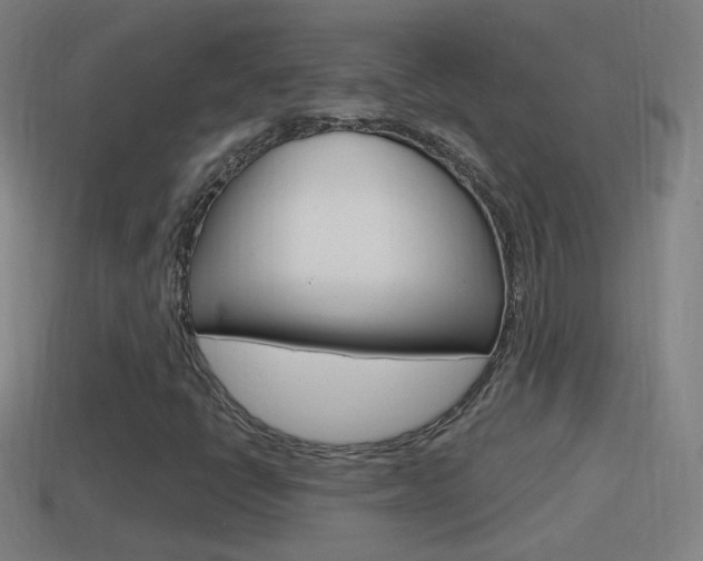 X0000114611398200910200930