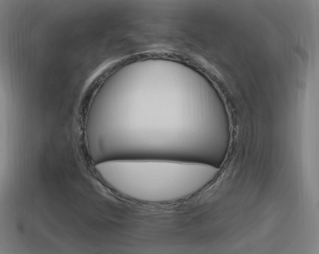 X0000114611400200910200930