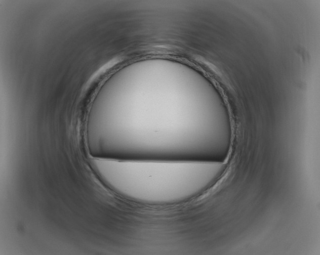 X0000114611402200910200930