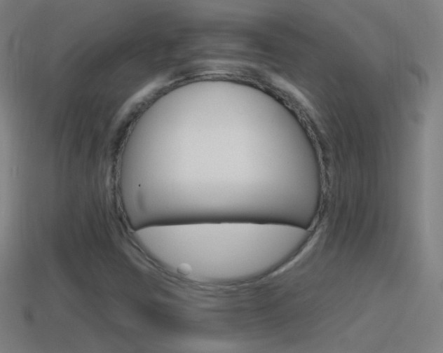 X0000114611403200910200930