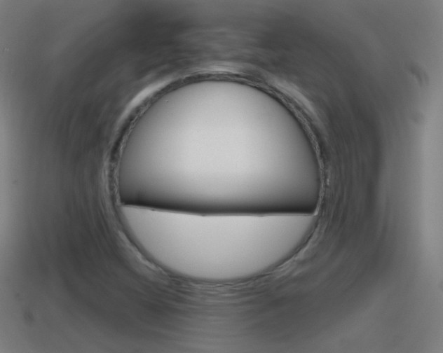 X0000114611404200910200930
