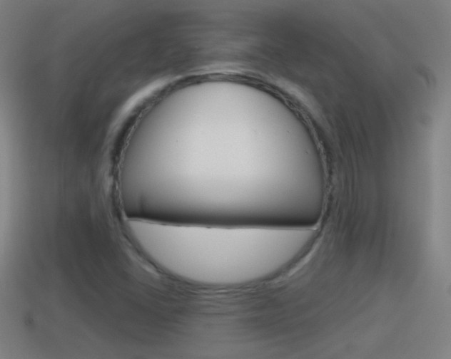 X0000114611406200910200930