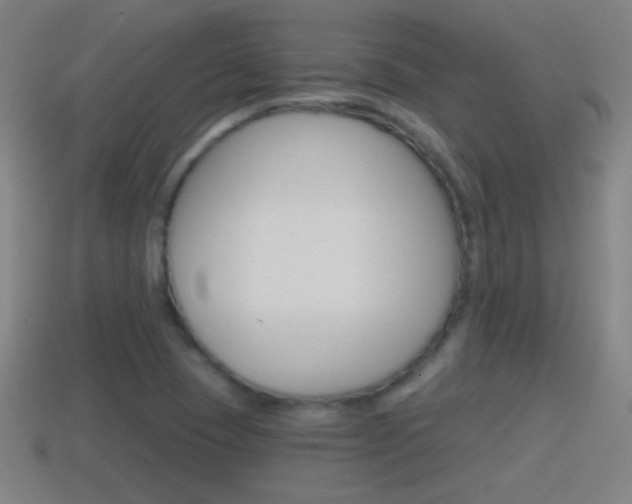 X0000114611409200910200930