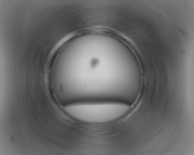 X0000114611410200910200930