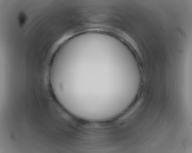 X0000114611411200910200930