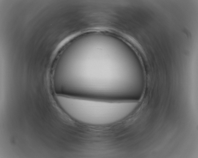 X0000114611412200910200930