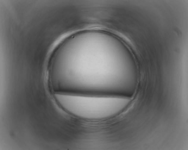 X0000114611414200910200930