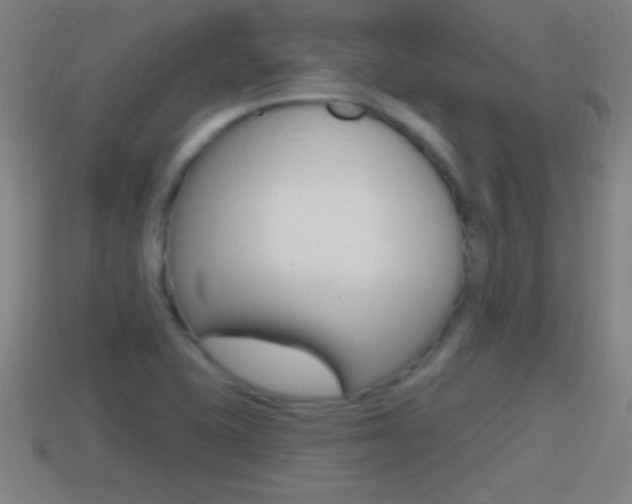 X0000114611415200910200930