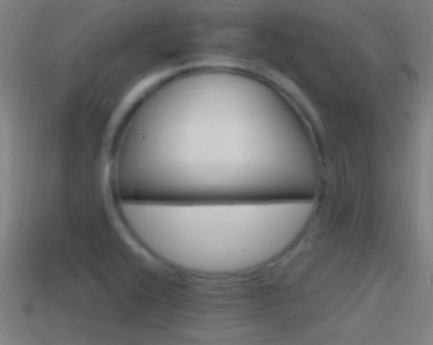X0000114611416200910200930