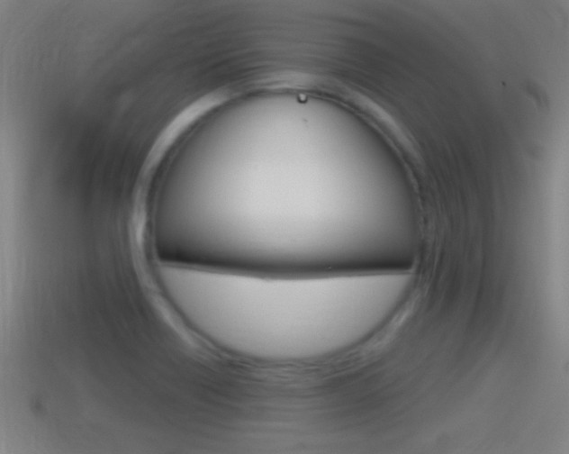 X0000114611418200910200930