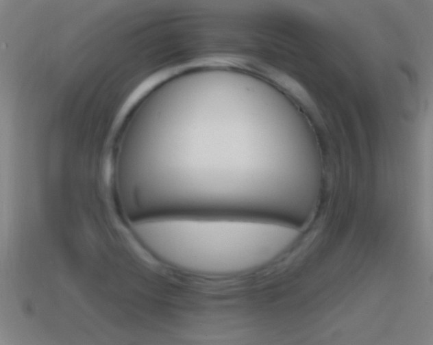 X0000114611420200910200930