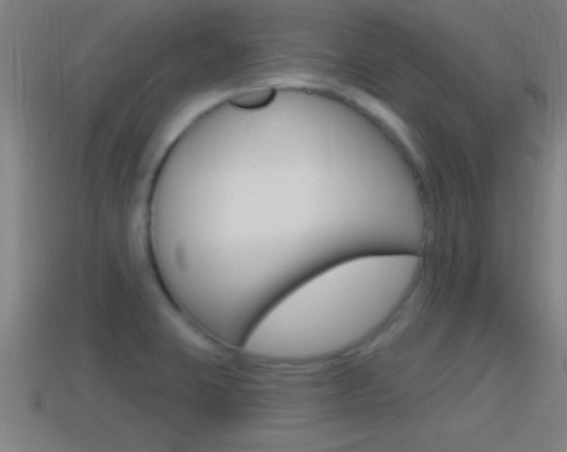 X0000114611423200910200930