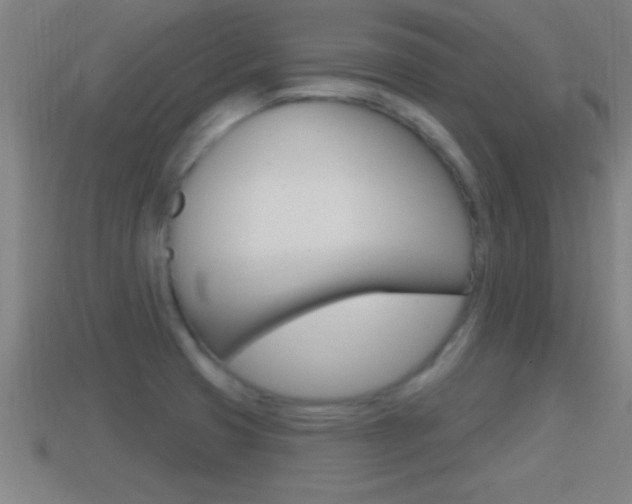 X0000114611425200910200930