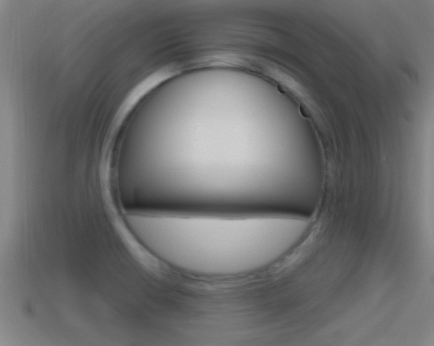 X0000114611426200910200930