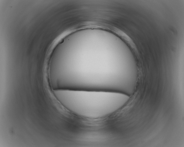 X0000114611427200910200930