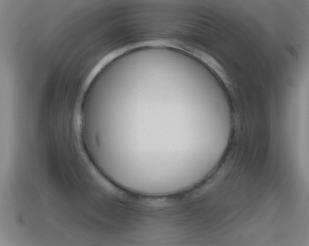 X0000114611428200910200930