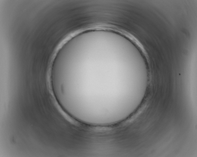 X0000114611429200910200930