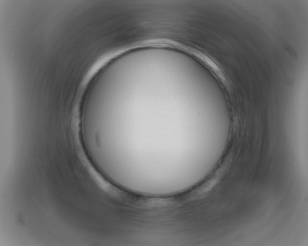 X0000114611430200910200930