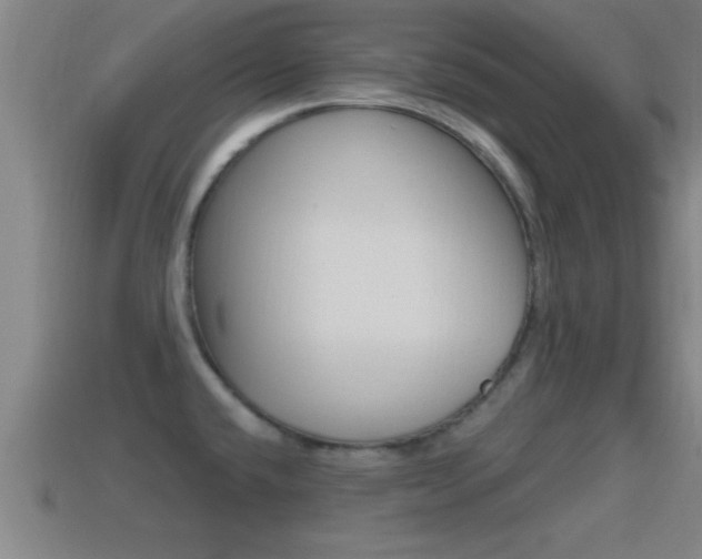 X0000114611432200910200930