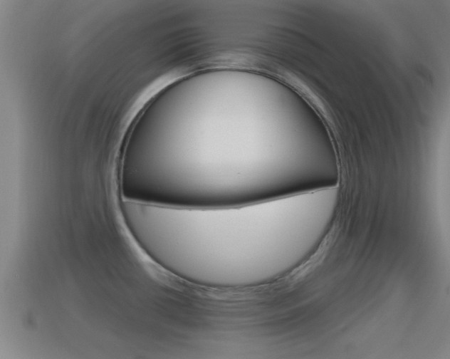 X0000114611434200910200930