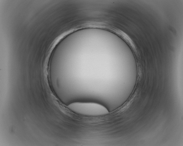 X0000114611435200910200930