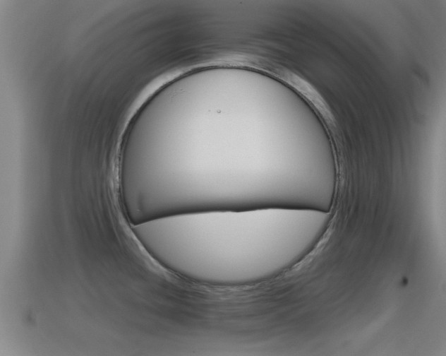 X0000114611436200910200930