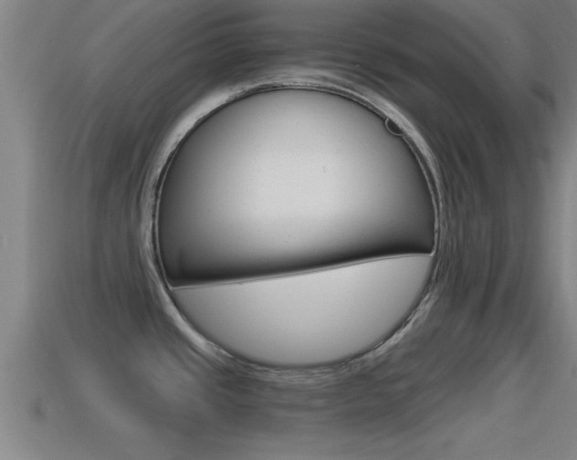 X0000114611437200910200930