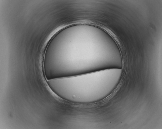 X0000114611438200910200930