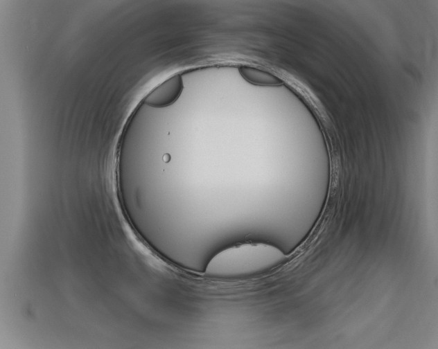 X0000114611439200910200930