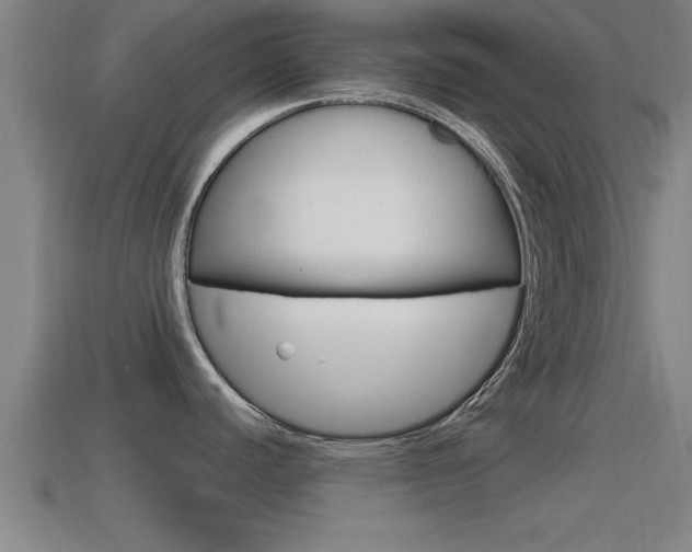 X0000114611440200910200930