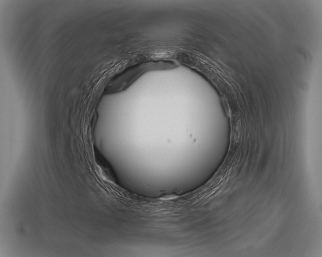 X0000114611441200910200930