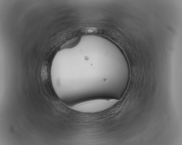X0000114611442200910200930