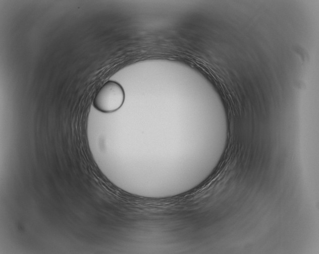 X0000114611443200910200929