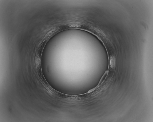 X0000114611444200910200929