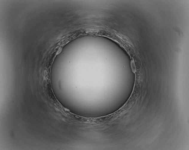 X0000114611445200910200929