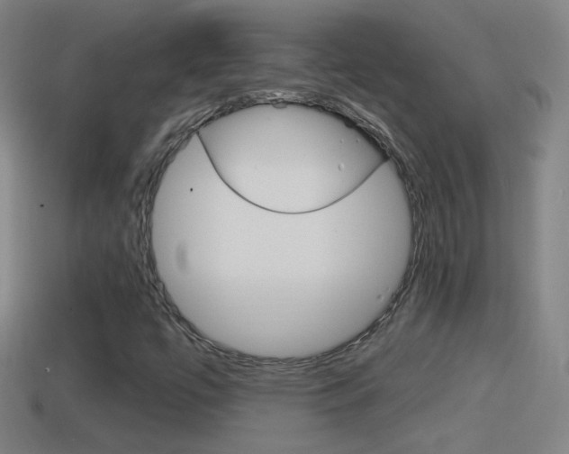 X0000114611447200910200929