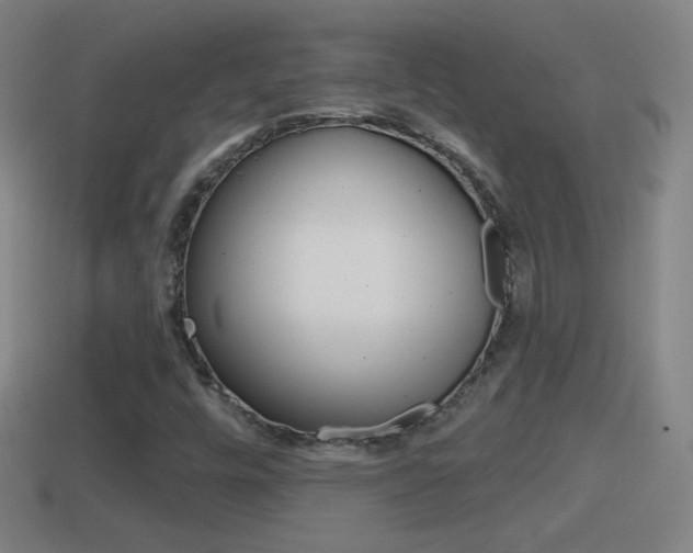 X0000114611448200910200929