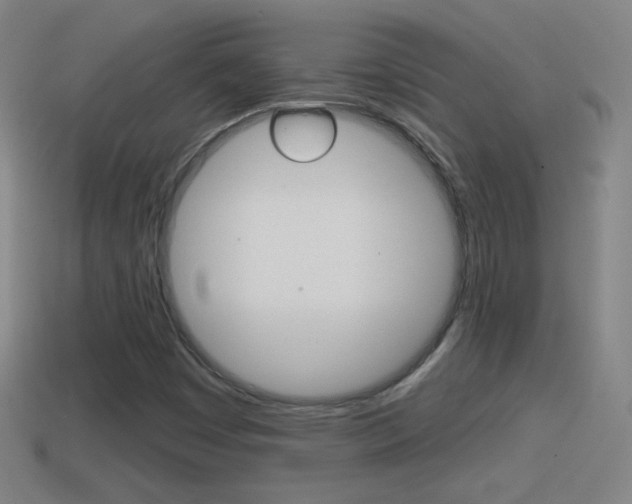 X0000114611449200910200929