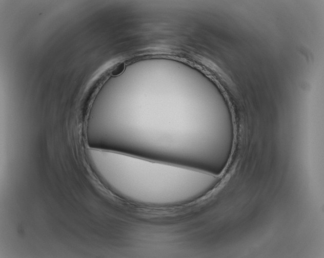 X0000114611450200910200929