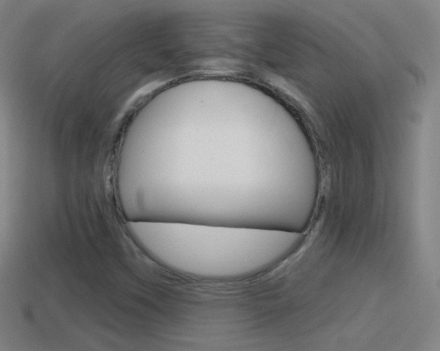 X0000114611451200910200929