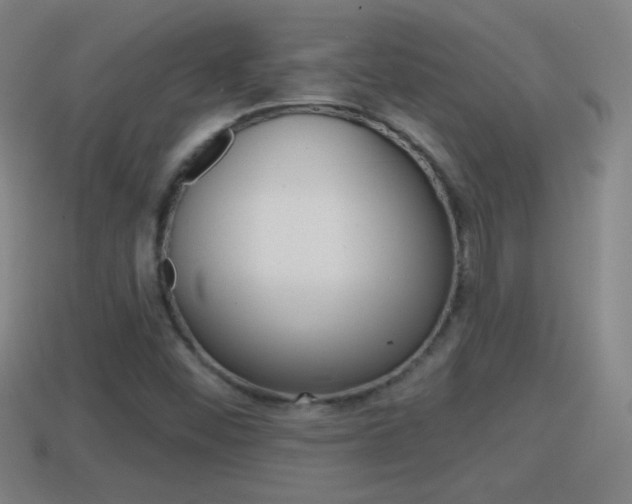 X0000114611452200910200929