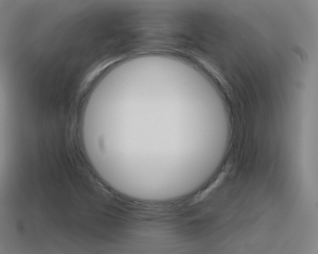 X0000114611453200910200929