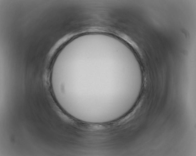 X0000114611454200910200929