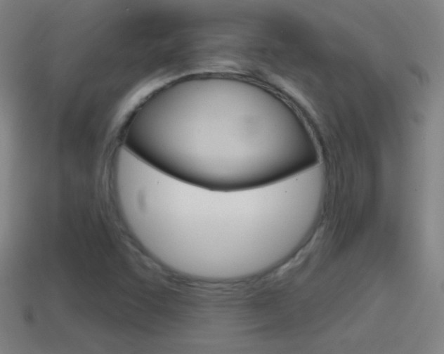 X0000114611455200910200929