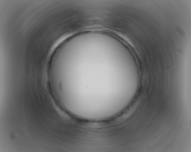 X0000114611458200910200929