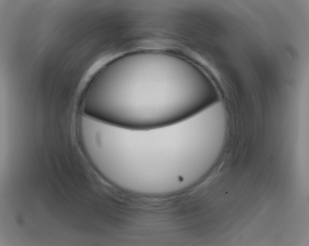 X0000114611459200910200929