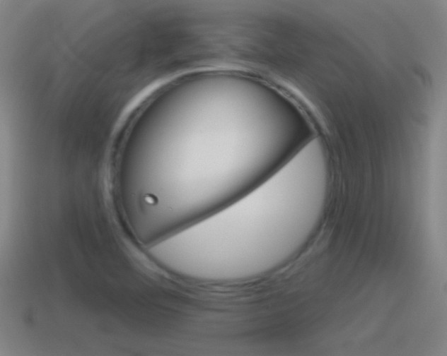 X0000114611460200910200929