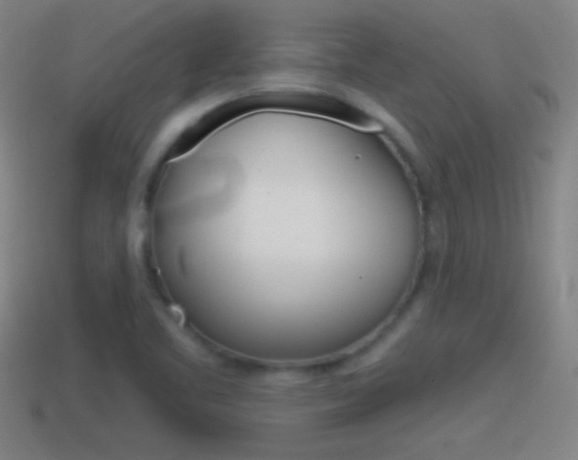 X0000114611461200910200929